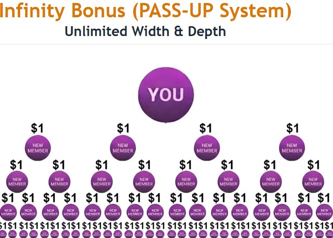 www.vatelife.com Vatelife Registration Packages & Activation Procedures
